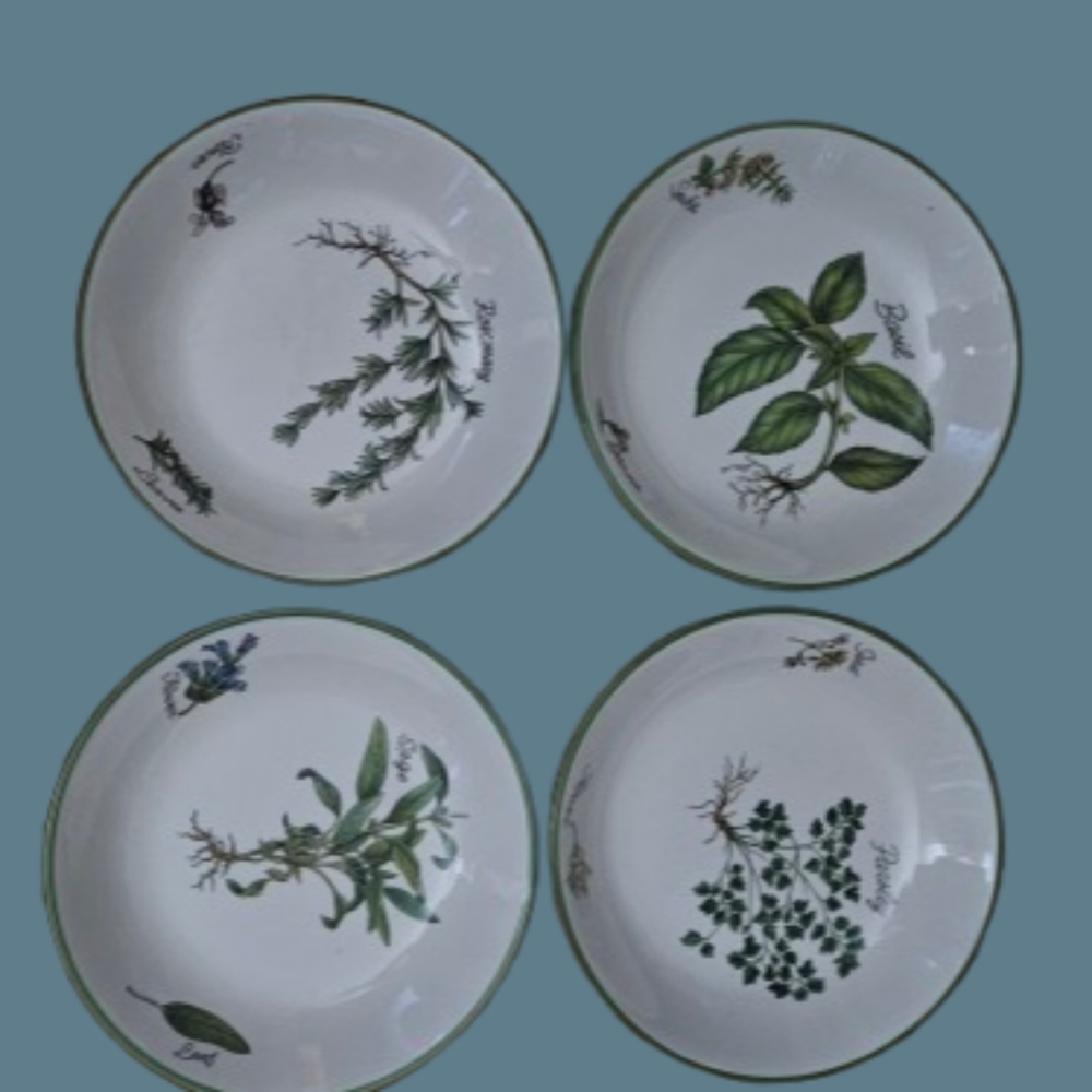 *Over and Back Italy Herb Garden Pasta Bowls